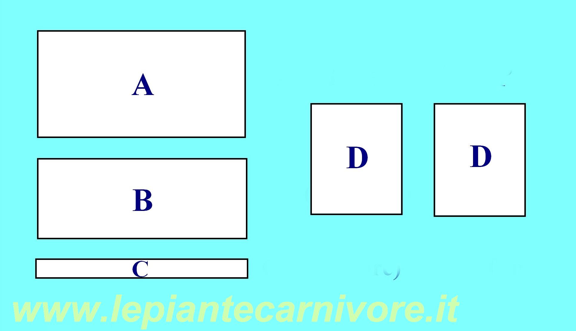 Costruiamo un finto acquario! [Tutorial semplice] 