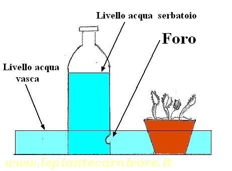 Vasca di raccolta acqua, ecco i trucchi su come dimensionarla